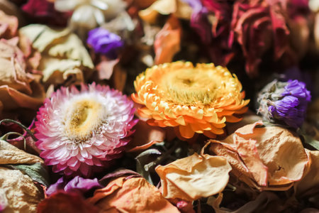 Dried flowers and petals. Floral decor.