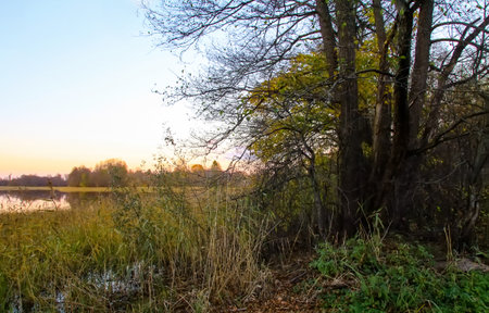 Peaceful landscape with lake in autumn sunset light in Latvia.の写真素材