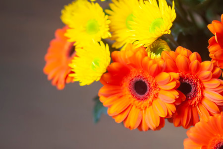 Composition of bright beautiful fresh flowers.の写真素材