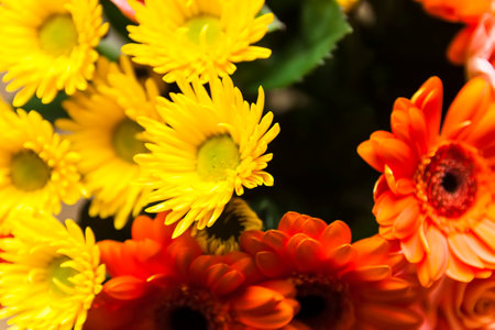 Composition of bright beautiful fresh flowers.の写真素材