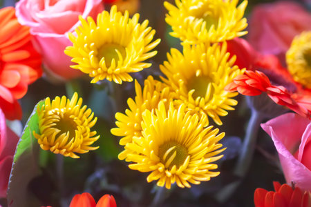 Composition of bright beautiful fresh flowers.の写真素材
