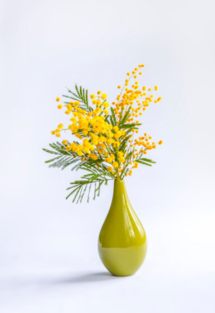Floral compositiona of the yellow fluffy mimosa flowers. Springtime floral background.の写真素材