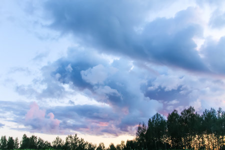 Countryside landscape with green fields and sunset sky. Summer nature details in Latvia, Europe .の写真素材
