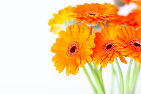 Bouquet of beautiful gerbera flowers.の写真素材