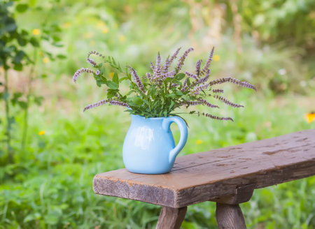 Medical herbs for herbal tea and homeopathic treatment. Fresh mint in a blue ceramic jug.の写真素材