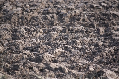 Soil for cultivation. Ploughed field.の写真素材