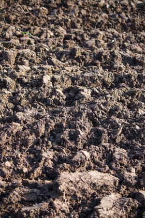 Soil for cultivation. Ploughed field.