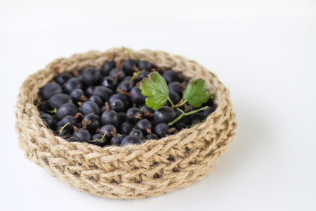 Juicy ripe berries of a gooseberry in a small handmade jute basket.の写真素材