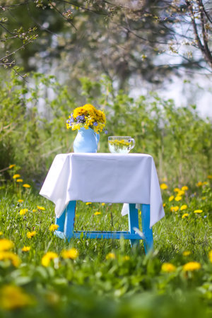 Herbal tea in a spring garden with yellow dandelion flowers blooming around.の写真素材