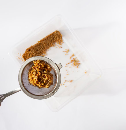 Germinated seeds in moist water. Healthy food ingredients.