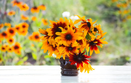 Rudbeckia hirta yellow flowers in a summer garden. Black-eyed Susan plants in flowering season.の写真素材