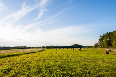 Beautiful landscape with a mown field on a summer day in Latvia.の写真素材