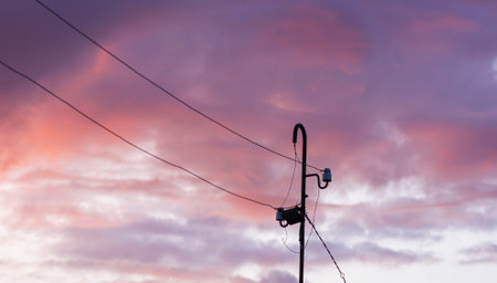 Sunset in the countryside at summer. Wild nature details.の写真素材