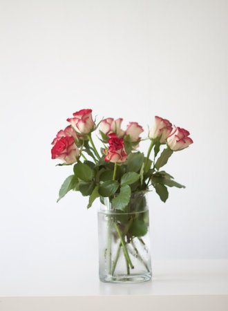 Red rose flowers. Romantic bouquet in minimalist style interior.の写真素材