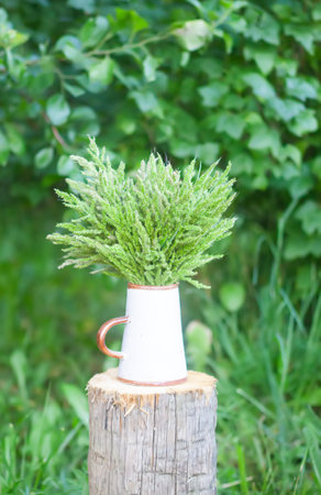 Bouquet of wild plants in ceramic mug outdoors.の写真素材