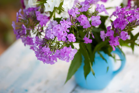 Beautiful bouquet of phlox flowers in a vase. Floral decor outdoors.の写真素材