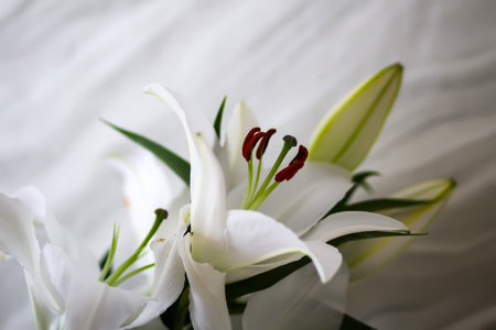 Close-up of blooming white lilies in floral arrangement.の写真素材
