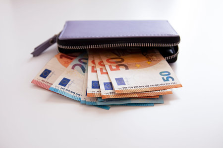A purple wallet holds several euro banknotes. Wealth and practical elegance.