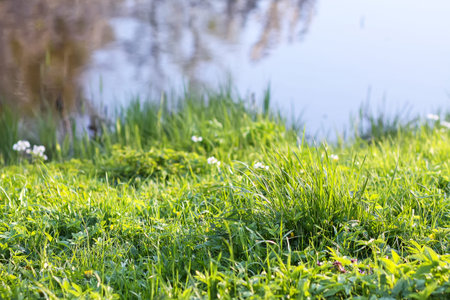 Sunlight shimmers across reflective park water. Warmth and peaceful outdoor atmosphere.