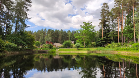 Trees cast soft shadows near a sunny park pond create a soothing and restful mood.