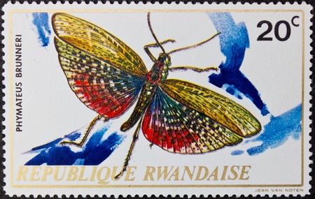 REPUBLIC RWANDA - CIRCA 1975: A stamp printed in Republic Rwanda,shows a phymateus brunneri picture, circa 1975.のeditorial素材