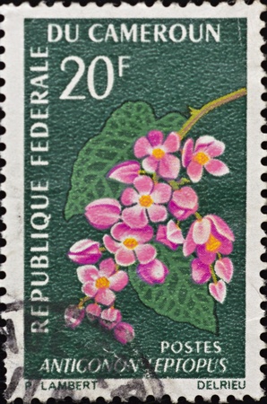 CAMEROON - CIRCA 1966: A stamp printed in Cameroon,shows an image of the flower Antigonon Leptopus,circa 1966.のeditorial素材