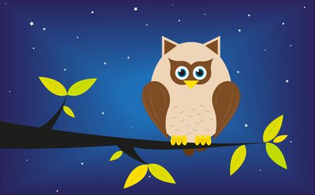 Owl in a tree at night のイラスト素材