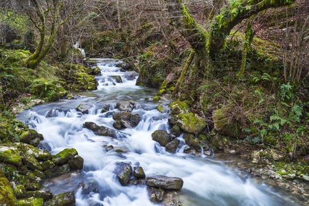 Mountain river flowing at winter forest landscape,Spain の写真素材