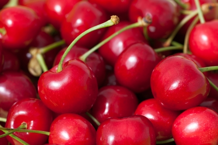 Fresh Cherriesの写真素材