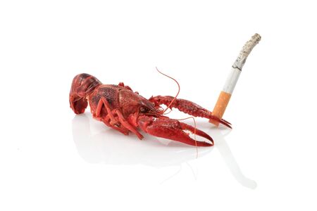 Metaphor - crawfish and cigarette - lung cancer.の写真素材