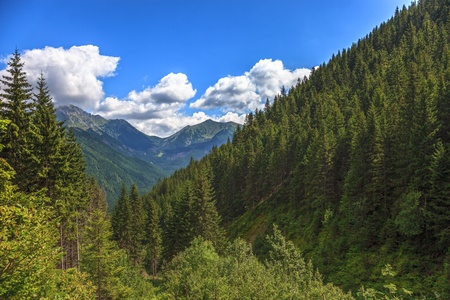 Mountain landscape in the Tatra National Park, Poland 
