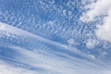 Light clouds of various types on the background of a blue sky - background 