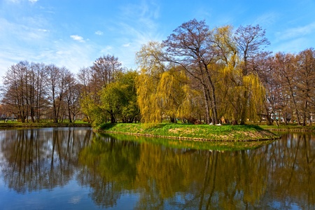 Pond in the park in spring time の写真素材