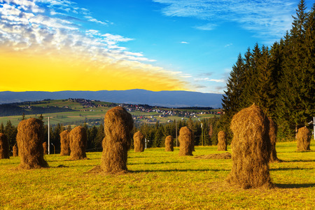 Bundles of hay in the field after harvest in the Polish mountains の写真素材