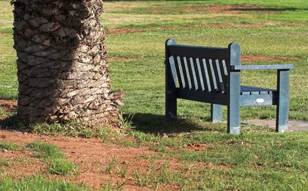 Park Bench Under tree,on a summer afternoon.の写真素材