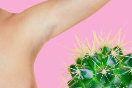 green cactus near the armpits. the concept of depilation, hair removal and removal unwanted hair on the bodyの写真素材