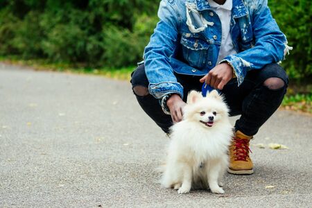 african american man walking in street with his fluffy spitz,teaching education dog teamsの写真素材