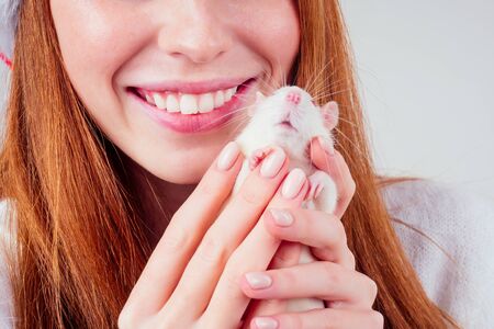white pet, rat in female hands close up studio shootの写真素材