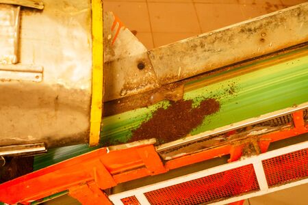 Dried tea leaves. Production line inside tea factory in India Munnar