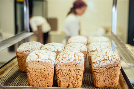 store small business concept, food factory process