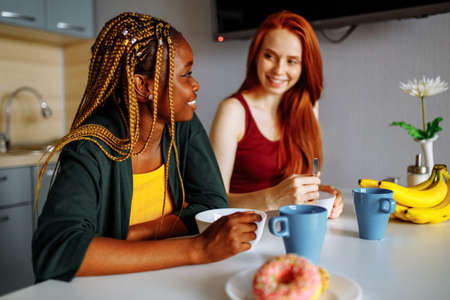 Happy lesbian couple preparing breakfast in the kitchenの写真素材