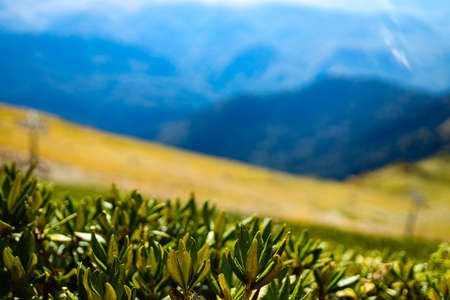 Russia Sochi Krasnaya Polyana summer day beautiful landscapeの写真素材