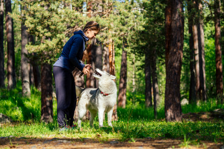 Dog with a woman walking mountains outdoors