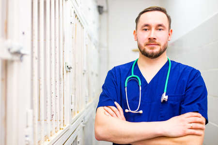 veterinarian man hand crossed on chest and looking at camera at dog shelterの写真素材