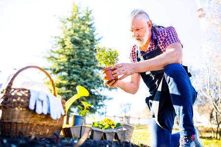 an older caucasian man with gray beard and hair in his garden on a sunny day