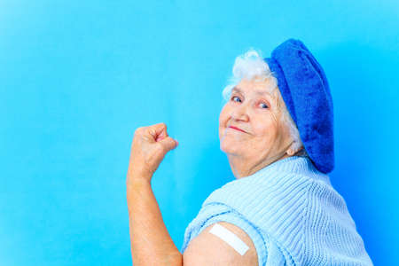 beautiful retired woman in blue beret and warm pullover looking at camera and smile in blue wall background in studioの写真素材