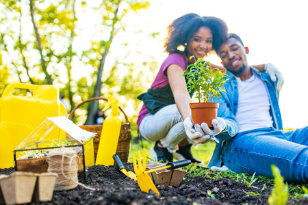 brazilian family harvesting or planting a crop in spring sunny day outdoorsの写真素材