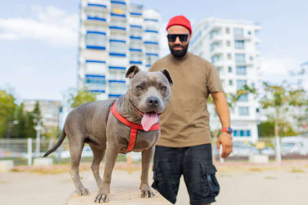 portrait of happy man in red hat and sunglasses with american terrier in dogs walking area park in sityの写真素材