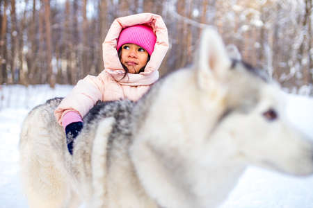 mixed race girl with her lovely siberian pet joy winter weatherの写真素材