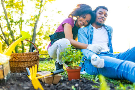 afro american couple gardening outdoors at sunset sunny spring dayの写真素材